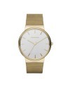 Skagen Strap for the Skagen Watch ANCHER SKW2347