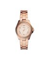 Fossil Strap for the Fossil Watch CECILE AM4611