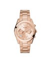 Fossil Bracelet pour le Montre Fossil PERFECT BOYFRIEND ES3885