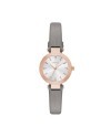 Correa DKNY para el Reloj DKNY STANHOPE NY2408