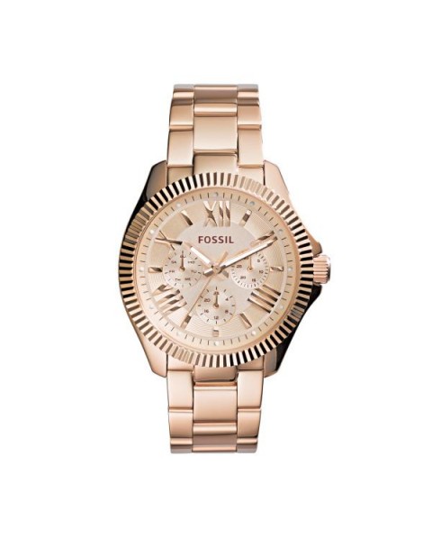 Fossil Armbander fur das Uhr Fossil AM4569