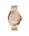 Fossil Strap for the Fossil Watch AM4569
