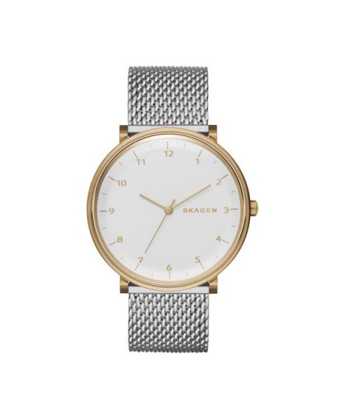 Skagen Strap for the Skagen Watch SKW6170