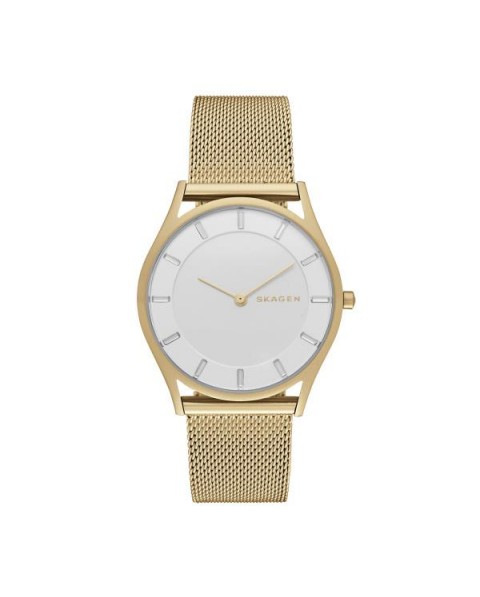 Bracelete Skagen para orologio Skagen SKW2377