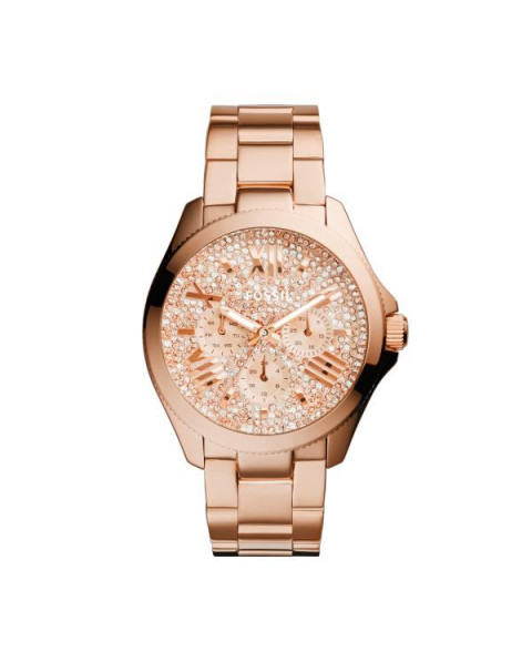 Fossil Bracelet pour le Montre Fossil AM4604