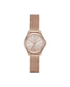 DKNY Strap for the DKNY Watch NY2489