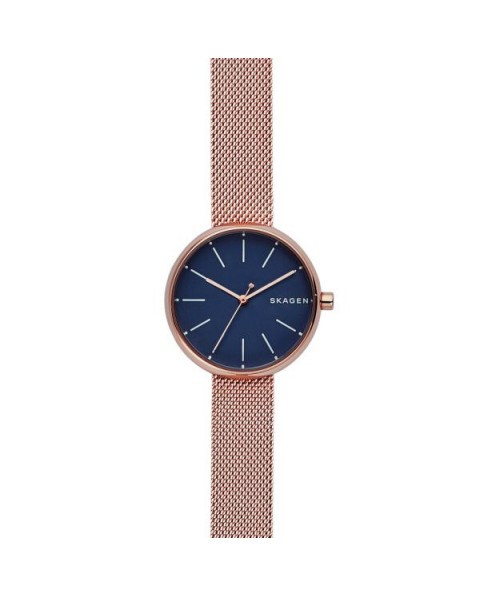 Correa Skagen para el Reloj Skagen SKW2593