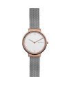 Correa Skagen para el Reloj Skagen SKW2616