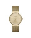 Correa Skagen para el Reloj Skagen SKW2129