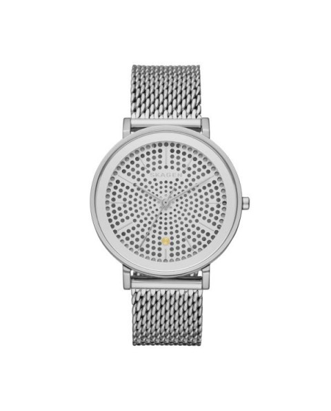 Skagen Strap for the Skagen Watch SKW2446