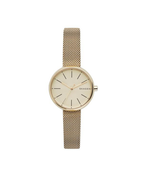 Cinturino Skagen per il Orologio Skagen SIGNATUR SKW2614