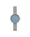 Skagen Bracelet pour le Montre Skagen SIGNATUR SKW2622