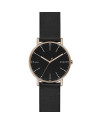 Skagen Bracelet pour le Montre Skagen SKW6401