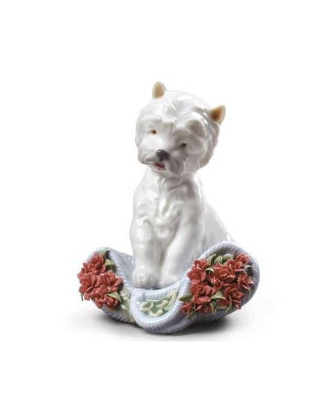 Lladro Porcelain Personnage joueur-oeillets 01008065