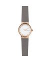 Skagen Armbander fur das Uhr Skagen FREJA SKW2669