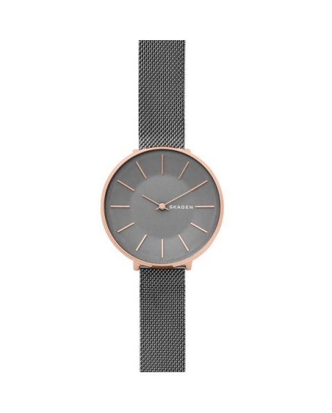 Skagen Armbander fur das Uhr Skagen KAROLINA SKW2689