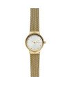 Skagen Strap for the Skagen Watch FREJA SKW2717