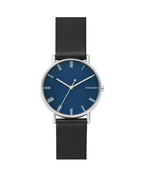 Cinturino Skagen per il Orologio Skagen SIGNATUR SKW6434