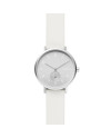 Skagen Armbander fur das Uhr Skagen AAREN SKW2763