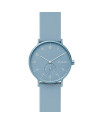 Skagen ремешок для Skagen AAREN SKW6509