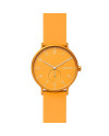 Skagen Strap for the Skagen Watch AAREN SKW6510