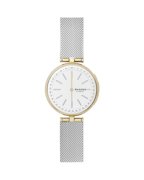 Skagen Bracelet pour le Montre Skagen SIGNATUR SKT1413