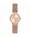 Bracelete Skagen ANNELIE SKW2751