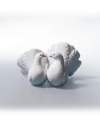 Lladro 01001169 COUPLE OF DOVES 010.01169