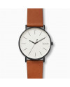 Cinturino Skagen SIGNATUR SKW6550