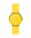 Skagen Armbander AAREN SKW6557