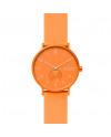 Skagen Bracelet AAREN SKW6558