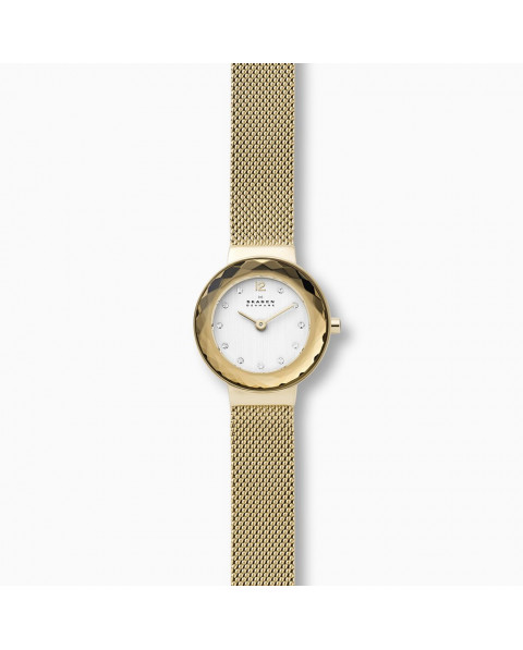 Cinturino Skagen LEONORA SKW2800