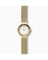 Cinturino Skagen LEONORA SKW2800