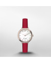 Correa Kate Spade MORNINGSIDE KSW1565