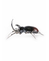 Rhinoceros beetle Lladró Porcelain 01009425