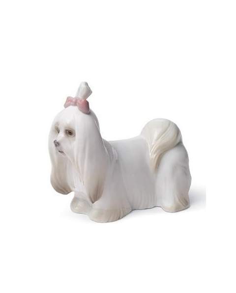 Lladro 01008368 Figurine MALTESE