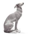 Lladro 01008607 ATTENTIVE GREYHOUND 010.08607